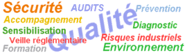 management QSE : AQSE conseil et formation au management QSE