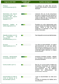 Exemple de synthse diagnostic ISO 14001